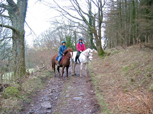 Two horses, with riders, standing on the Tramroad, surrounded by trees and fields