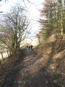 Section of tramroad shaded by trees with dappled sunlight. A series of stone sleeper blocks can be seen on the trackbed